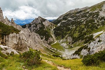 Auf dem Gipfel der Julischen Alpen von Louise Poortvliet
