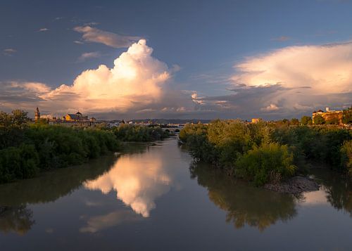 Cordoba