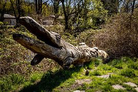 Rathenow „Stadt der Optik“ von David Krause