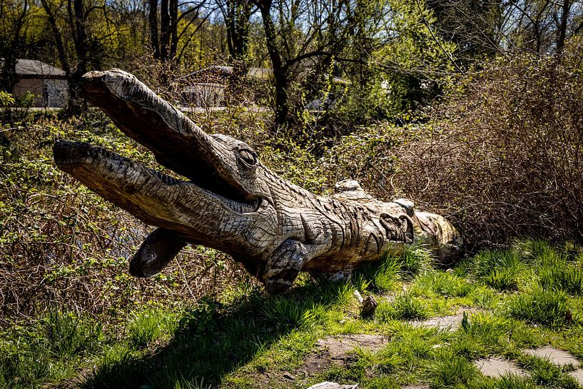 Rathenow &quot;City of Optics by David Krause