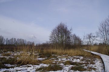 Wintergezicht van Ad Steenbergen
