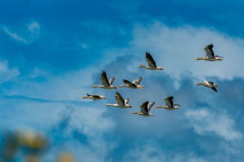 Fliegen Sie Ihren eigenen Kurs