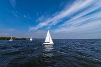 zeilscheepje varend op het blauwe  water van het IJsselmeer