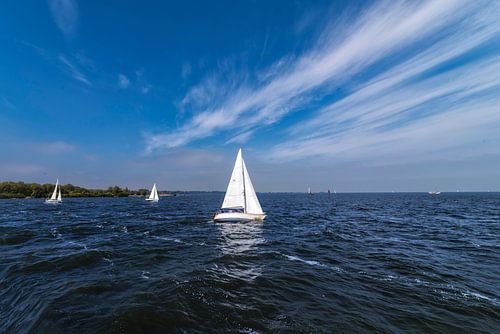 zeilscheepje varend op het blauwe  water van het IJsselmeer