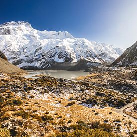 Mueller Lake van Thomas van der Willik