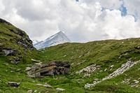 Alpine scenery