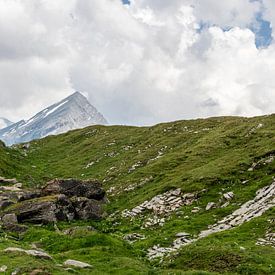 Alpenlandschap van Sander de Jong