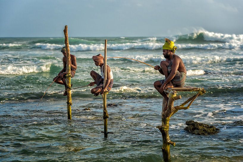 Pole fishermen, Sri Lanka by Richard van der Woude