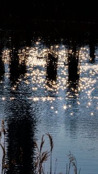 Frühlingssonne von Jan van der Knaap