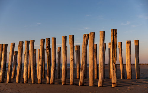 Strandpaaltjes bij avondlicht 5