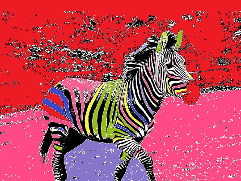 Oh my colourful zebra by Elle Hart by Elle Hart