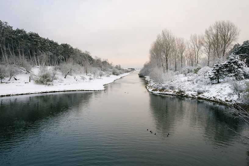 Winter landscape in the dunes of the Netherlands by Jolanda Aalbers