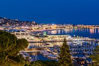 Jachthaven en de Croisette in Cannes aan de Côte d'Azur in Cannes van Werner Dieterich thumbnail