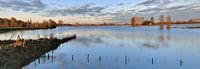 Hoog water tussen Dieren en Doesburg van M  van den Hoven thumbnail