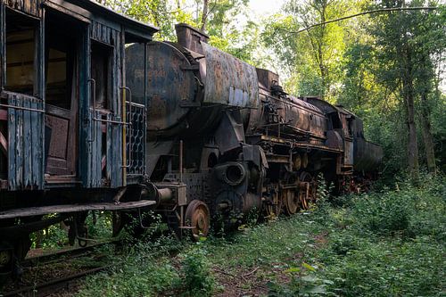 Verlassener Dampfzug