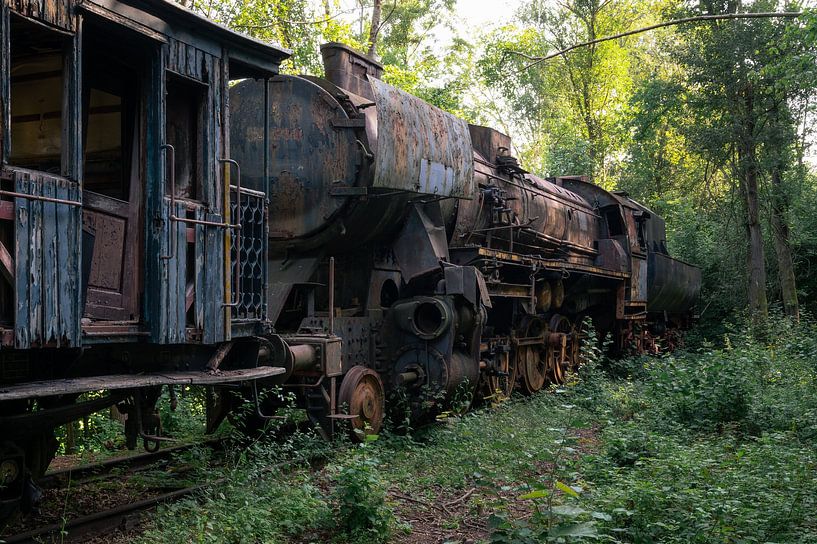 Abandoned steam train by Tim Vlielander