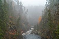River through misty Kemijoki valley.
