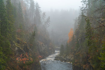 River through misty Kemijoki valley.