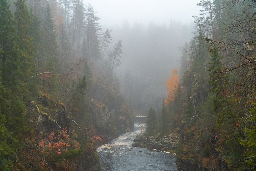 Rivière traversant la vallée brumeuse de Kemijoki. par Axel Weidner