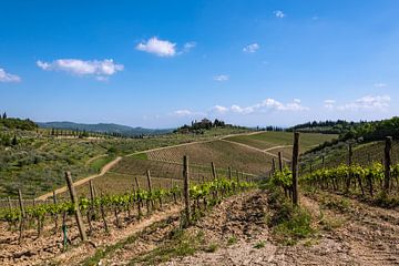 Wijnmakerij in de buurt van Radda in Chianti van Peter Baier