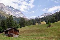 Schweizer Alpenlandschaft von Sander de Jong Miniaturansicht