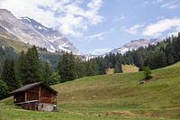 Swiss Alpine landscape