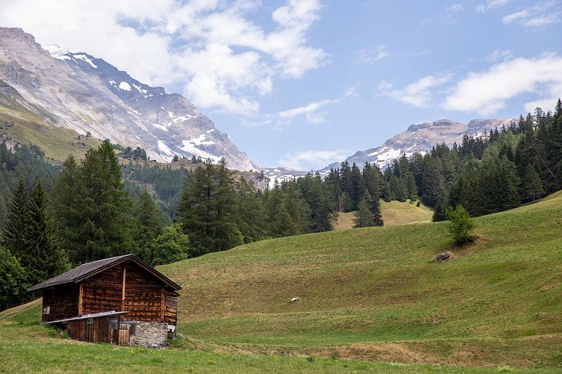 Zwitsers Alpenlandschap van Sander de Jong