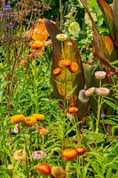 Strobloemetjes