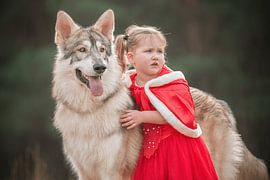 Little Red Riding Hood and the wolf by Sanne Harmsen