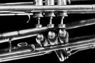 Alte Vintage Jazz Musik Brass Trompete Reflexion schwarz und weiß von Andreea Eva Herczegh Miniaturansicht