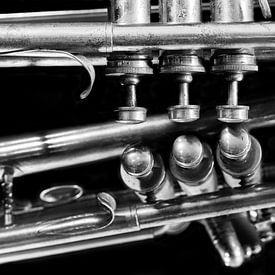 Old  Vintage Jazz Music Brass Trumpet Reflection Black and  White by Andreea Eva Herczegh