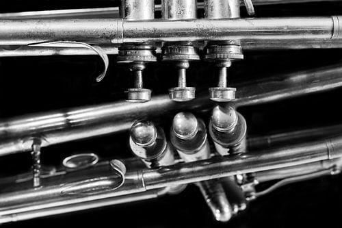 Old  Vintage Jazz Music Brass Trumpet Reflection Black and  White
