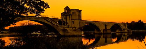 Bridge of Avignon by Stan Vanneste
