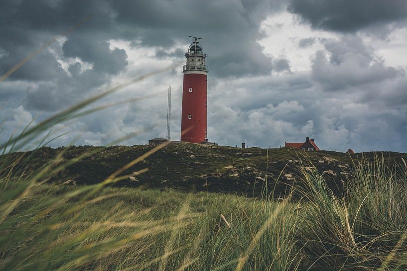 Leuchtturm auf Texel von Dennis Langendoen