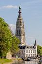 Grote Kerk - Breda skyline - North Brabant - Netherlands by I Love Breda thumbnail