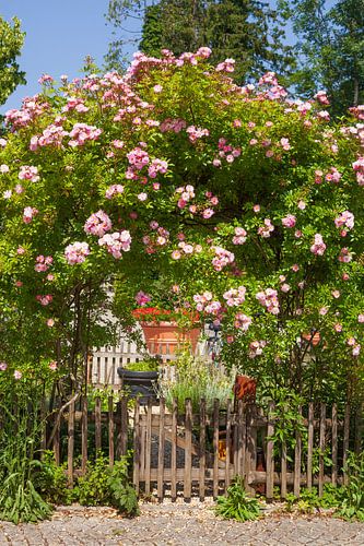 Garten am Heimatmuseum, Prien am Chiemsee