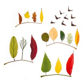 Fantasie herfstbos van Anjo Kan