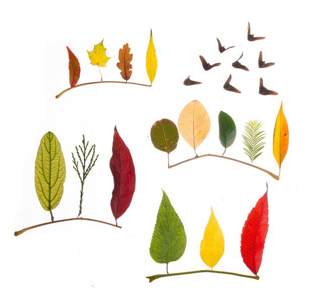 Fantasie herfstbos van Anjo Kan