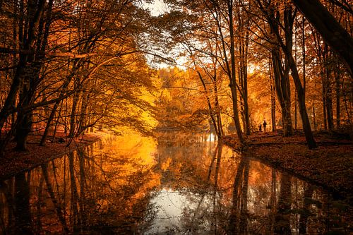Autumn in the Amsterdamse Bos by Marco Rutten