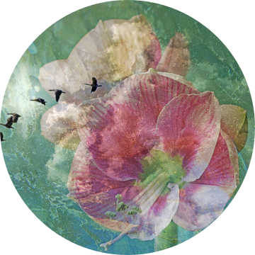 Amarillys Birdys van Die Farbenfluesterin