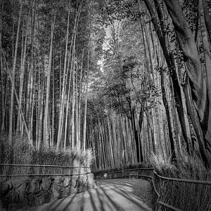 Beeindruckender Arashiyama Bambuswald | monochrom