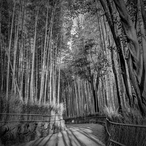 Indrukwekkend bamboebos van Arashiyama | monochroom