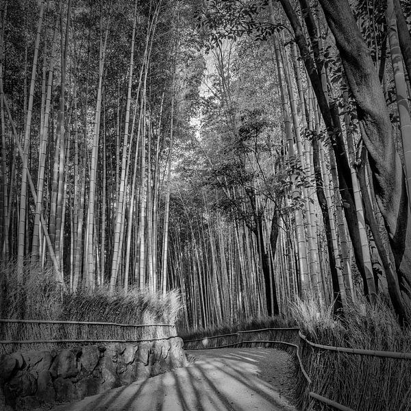 Beeindruckender Arashiyama Bambuswald | monochrom von Melanie Viola