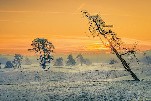 Stuivende zandduinen en silhouetten in natuurgebied bij zonsopkomst