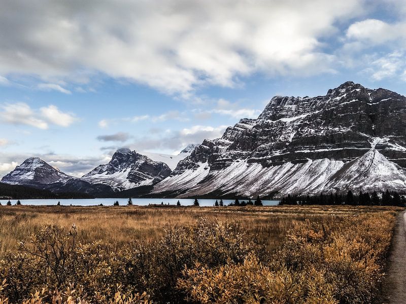 Bow Lake met bergen  in Alberta, Canada van Daan Duvillier | Regio in de Kijker