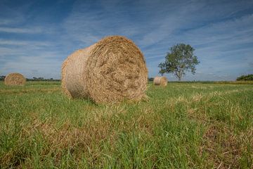 Hay Rolls by Moetwil en van Dijk - Fotografie