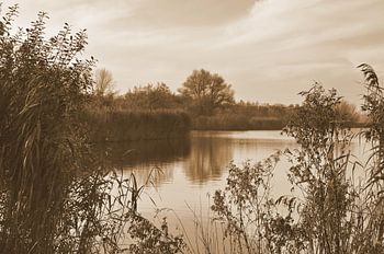 Dobbenplas in Sepia