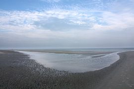 De Balg von 123 Schier