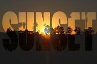 Zonsondergang met tekst sunset van Stedom Fotografie thumbnail