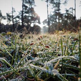 Frozen time van Jacco Aalbers